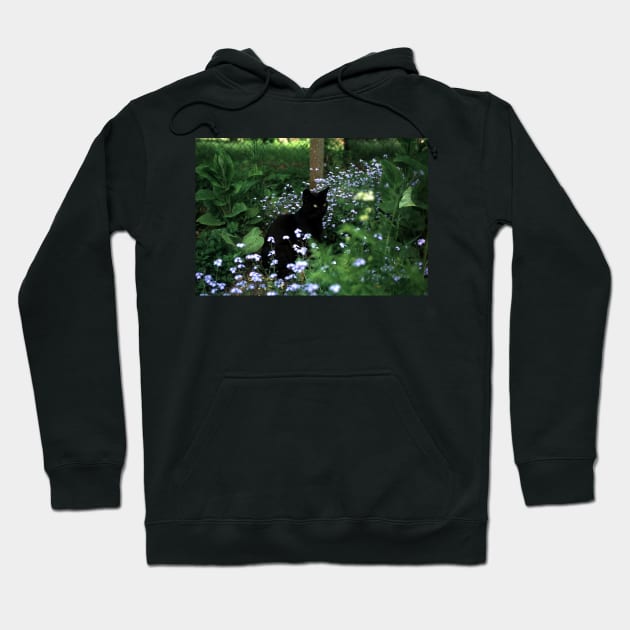 Black tomcat Paule Hoodie by Gourmetkater